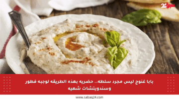 بابا غنوج ليس مجرد سلطة.. حضريه بهذه الطريقة لوجبة فطور وسندويتشات شهية